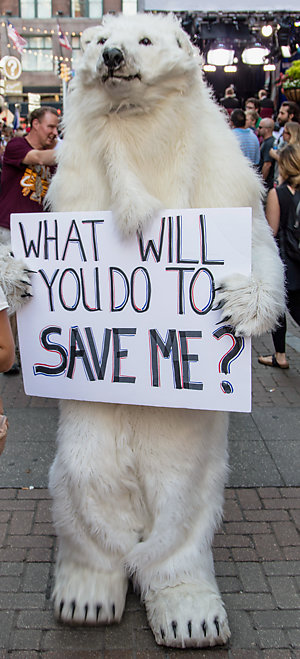 A person in a bear costume holding a "What will you do to save me?" sign.