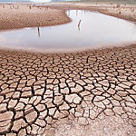Landscape of drought land. 