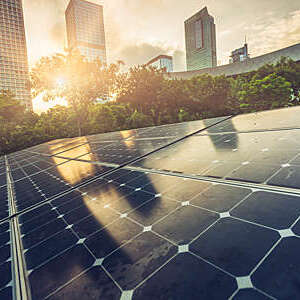 Rooftop solar panels immersed in greenery with glimpse of a building through the foliage.