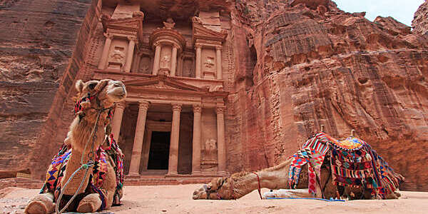 Camels in Petra, Jordan.